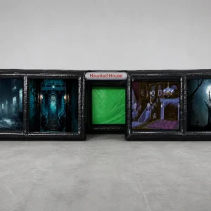Commercial Inflatable Maze - Haunted House Panel Maze - product view 5