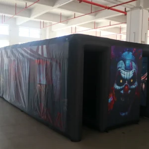 Commercial Inflatable Maze - Clown Twin-Passage Covered Tunnel - product view 1